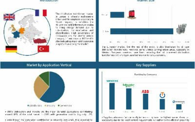 Overview of 2019 Market in Europe – Distribution Transformers Infographics