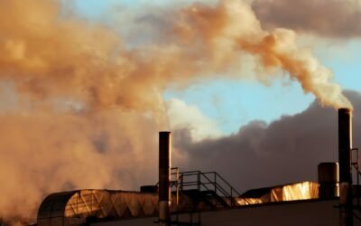 Fragile Balance: Designing Carbon Pricing Mechanisms to Nudge the World to Carbon-Neutrality